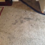Dirty-Carpet-Olympia-WA
