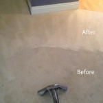 Steam-Carpet-Cleaning-Olympia